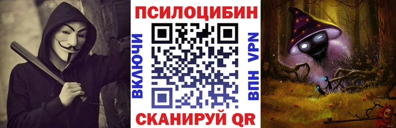 купить наркотик  Фёдоровский  Псилоцибиновые грибы GOLDEN TEACHER 